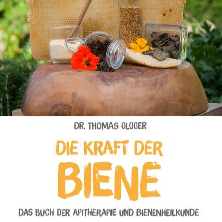 Buch „Die Kraft der Biene“ – Cover