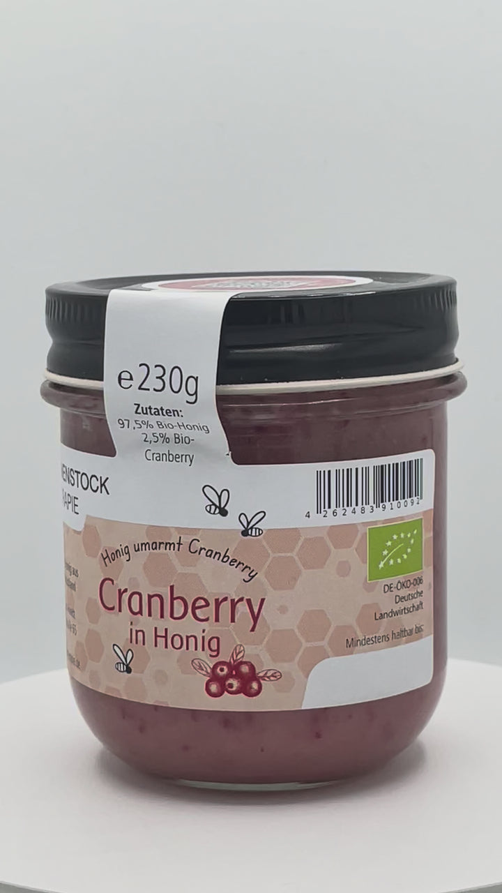 Cranberry in Bio Honig 230 g